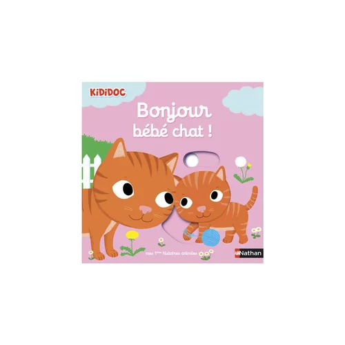 Le livre " Bonjour bebe chat " aux Éditions Nathan