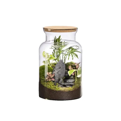 Terrarium autonome Jungle Landscape botanic® - taille M