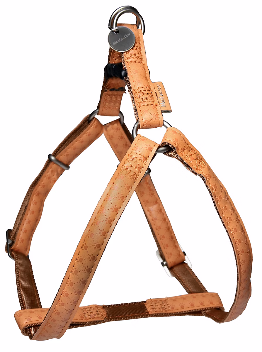 Chien – Harnais réglable Mc Leather 25mm jaune