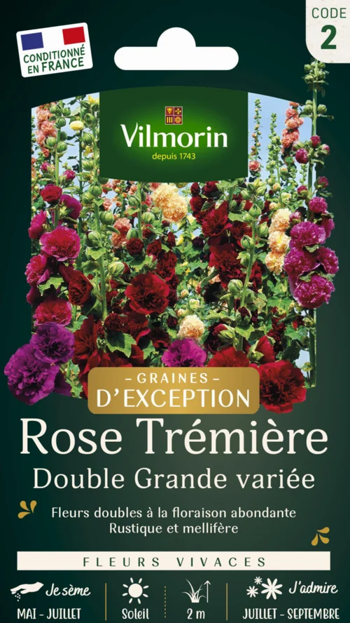 Rose Trémière Double grande variée Vilmorin - graines à semer