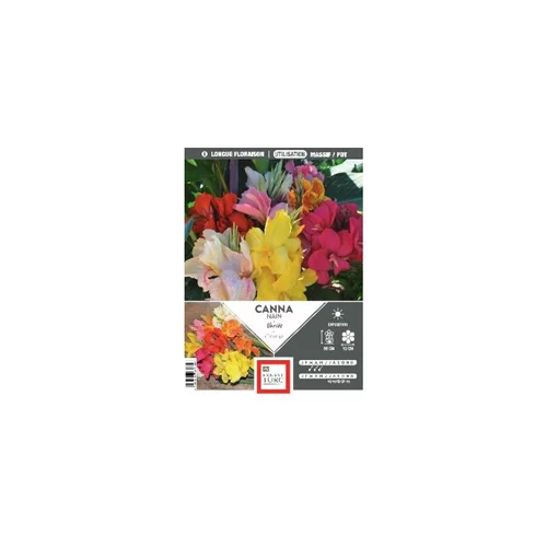 Canna nain en mélange Ernest Turc - bulbes vrac