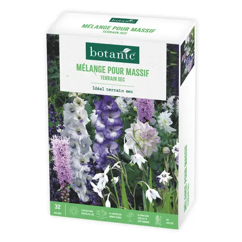 Boite de bulbes de fleurs en mélange pour massif terrain sec botanic® – 32 bulbes