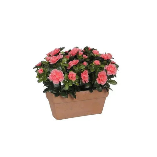 Azalea pêche artificielle en jardinière Terra 27,5x13x33 cm
