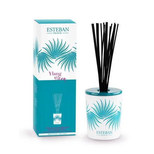 Bouquet parfumé déco et sa recharge Ylang-Ylang Esteban - 100 ml
