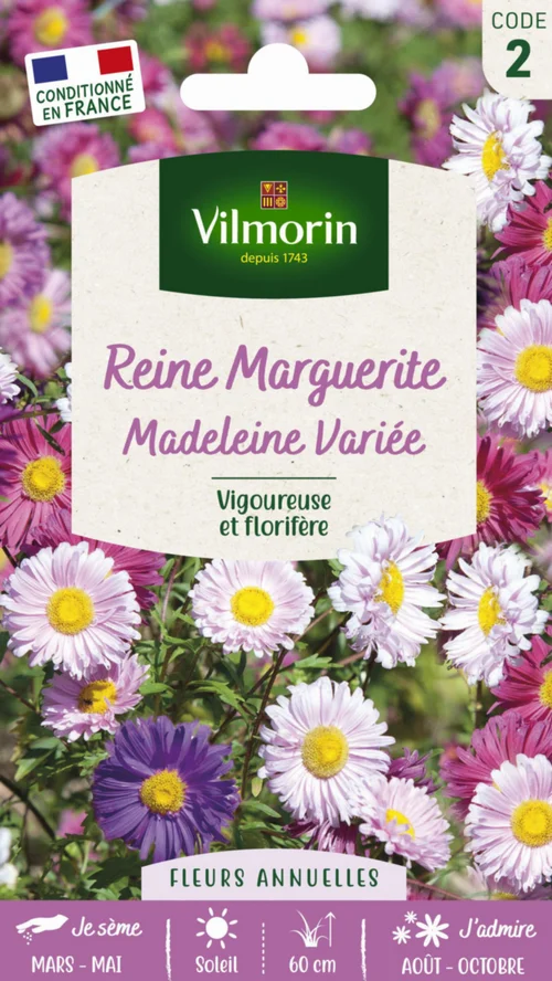 Graines de Reine Marguerite Madeleine variée Vilmorin - graines à semer