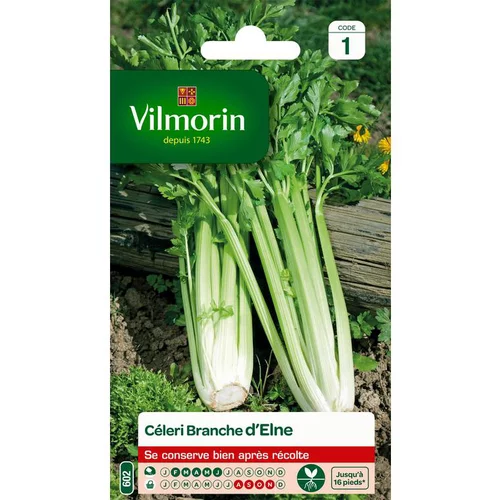 Graines de céléri branche d'Elne Vilmorin - graines à semer