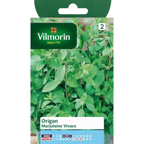 Origan Marjolaine Vivace Vilmorin - graines à semer