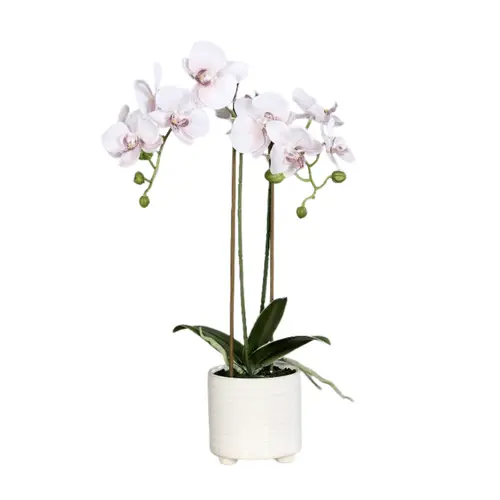 Orchidée artificielle rose clair à 2 panicules en pot blanc - 52 cm