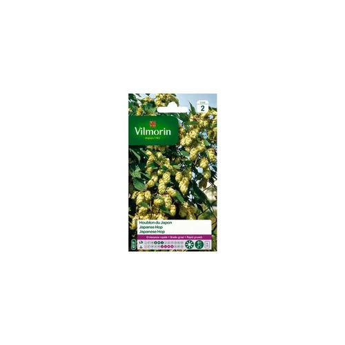 Graines de Houblon du Japon Vilmorin - graines à semer