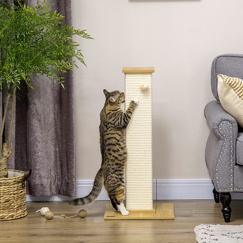 Arbre à chat 80 cm en sisal naturel et peluche beige avec jouet suspendu – Réf. NLGEEFHBG5533828151