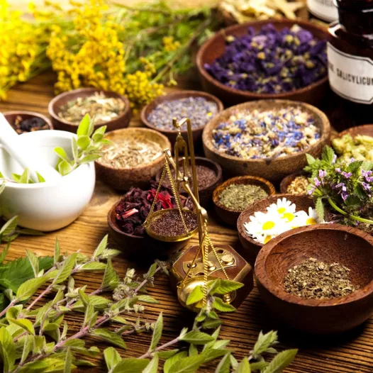 Kit semences bio : Mon jardin médicinal