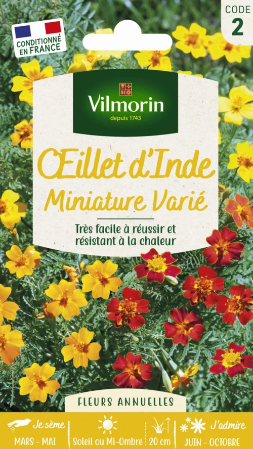 Œillet d'Inde miniature varié Vilmorin - graines à semer