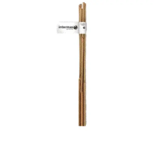 Tuteur bambou naturel coloris beige H1,50 m x Ø 10-12 mm