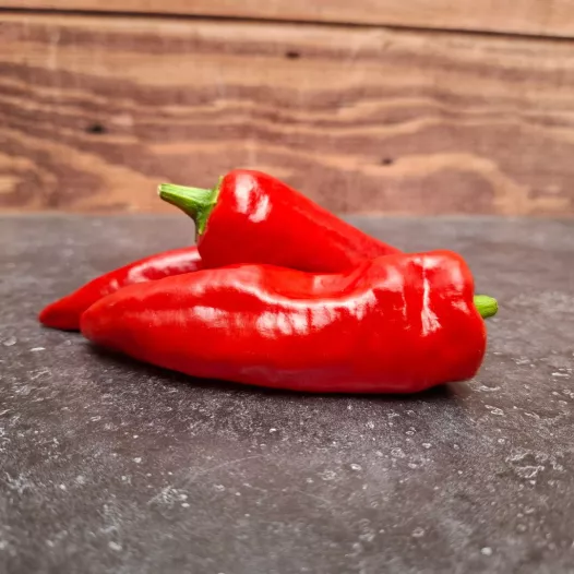 Piment d'Espelette | Semences bio et reproductibles