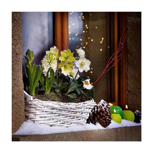 Jardinière de Noël - La jardinière de 40 cm