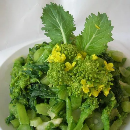 Graines bio de Navet cima de rapa